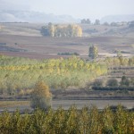 Paisaje