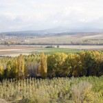 Paisaje