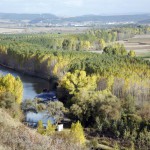 Paisaje