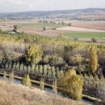 Paisaje