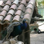 Parques y rios en Herrera