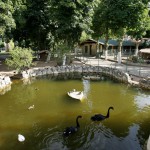 Parques y rios en Herrera