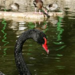 Parques y rios en Herrera