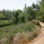 El Canal de Castilla