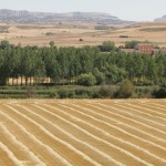 Herrera de Pisuerga
