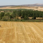 Herrera de Pisuerga